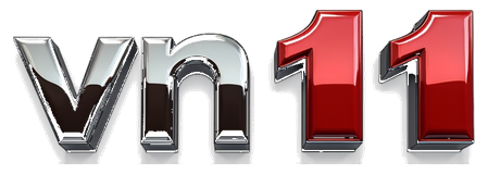 vn11 logo